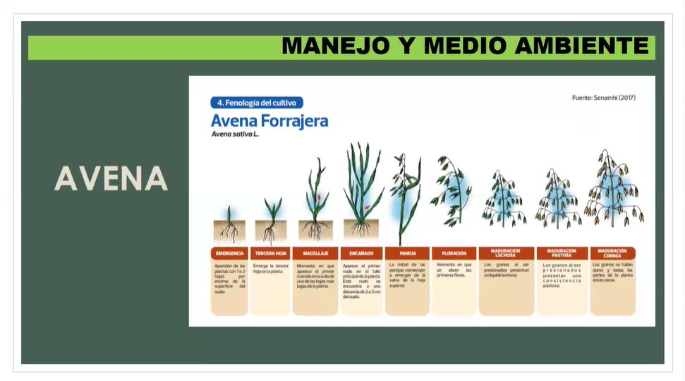  MANEJO DE PASTURAS Y FORRAJES PARA LA GANADERÍA OVINA 